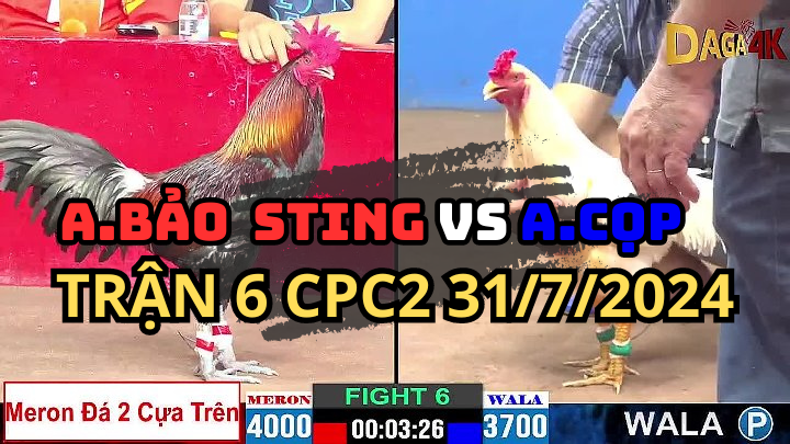 Trận 6 CPC2 31/7 Bảo Sting Đụng Anh Cọp