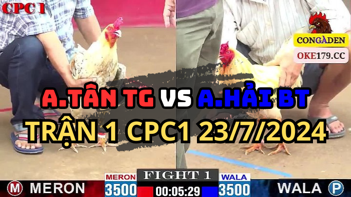 Trận 1 CPC1 23/7 A.Tân TG và A.Hải BT Mở Bát Đá Gà Thomo