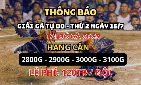 Xem Trực Tiếp Giải Gà Tự Do CPC3 ngày 15/7/2024 - DaGa4K