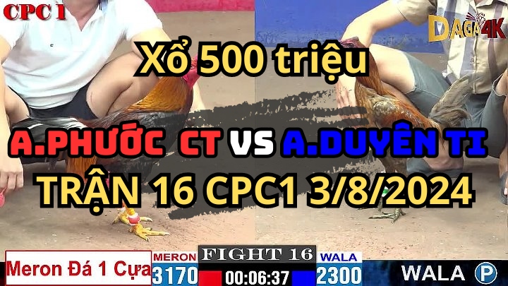 [Xổ 500 Triệu] Trận 16 CPC1 03/08 Gà Đen Duyên Ti Đối Đầu Với Phước Cần Thơ