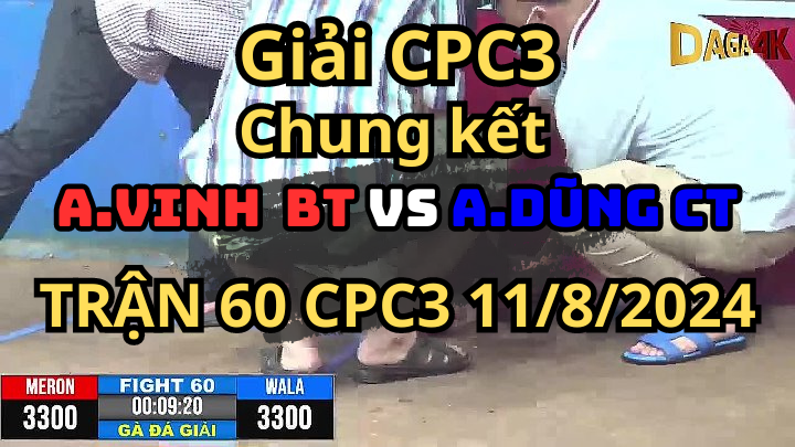 Trận 60 Giải CPC3 11/8/2024 Trận Chung Kết Đá Gà Cúp C3