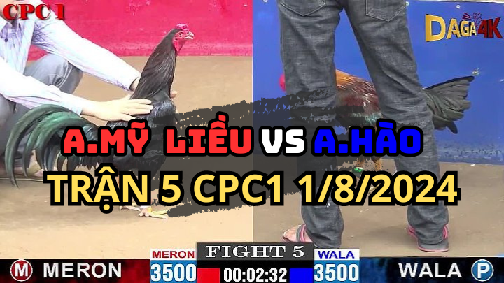 Trận 5 CPC1 Ngày 01/08 Gà Que Anh Mỹ Liều Đâm Toàn Chỗ Hiểm