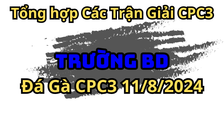 Tổng Hợp Các Trận Của Anh Trường BD ở Đá Gà C3 ngày 11/8/2024