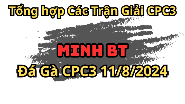 Các Trận Của Anh Minh BT Vô Địch Cúp Lần 3 Giải Đá Gà CPC3 Ngày 11/8/2024