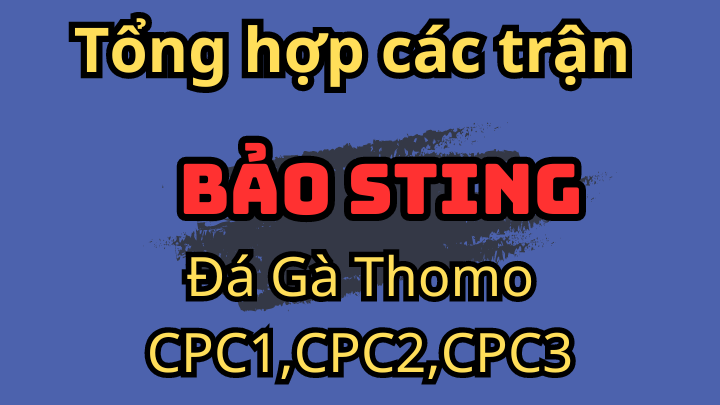 Tổng Hợp Các Trận Gà Khủng Nhất Của Bảo Sting