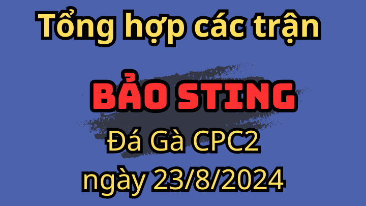 Các Trận Xổ Của Bảo Sting Đá Gà Thomo CPC2 ngày 23/8/2024