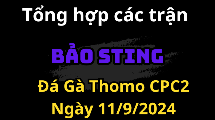 Các Trận Xổ Của Bảo Sting Hôm Nay Ngày 11/9/2024 Đá Gà CPC2