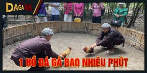 1 hồ đá gà bao nhiêu phút