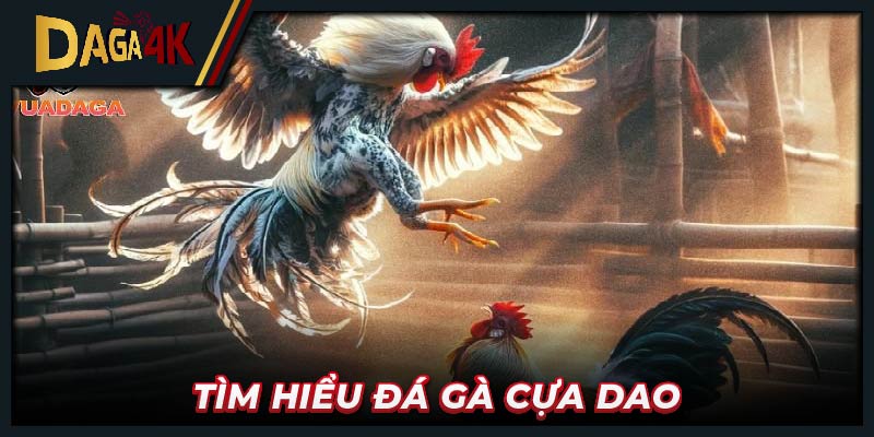 Tìm hiểu đá gà cựa dao