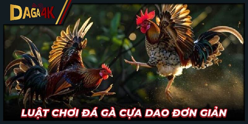 Luật chơi đá gà cựa dao đơn giản