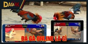 đá gà online là gì