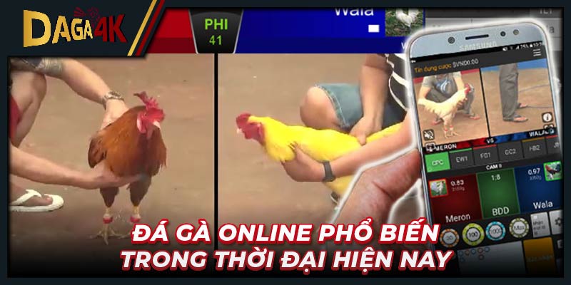 Đá gà online phổ biến trong thời đại hiện nay