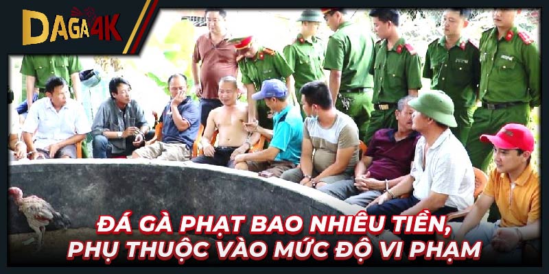 Đá gà phạt bao nhiêu tiền, phụ thuộc vào mức độ vi phạm