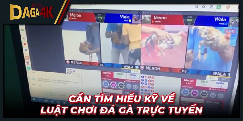 Cần tìm hiểu kỹ về luật chơi đá gà trực tuyến