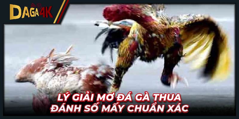 Lý giải mơ đá gà thua đánh số mấy chuẩn xác