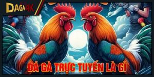 đá gà trực tuyến là gì