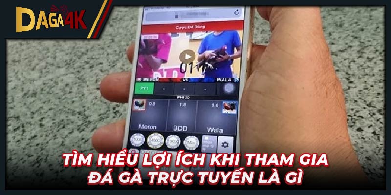 Tìm hiểu lợi ích khi tham gia đá gà trực tuyến là gì