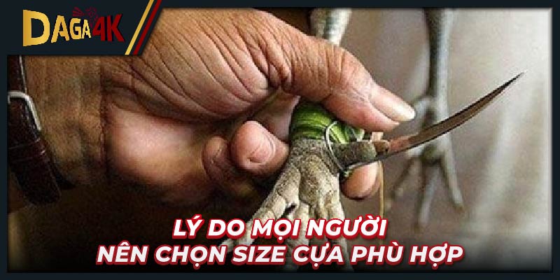 Lý do mọi người nên chọn size cựa phù hợp