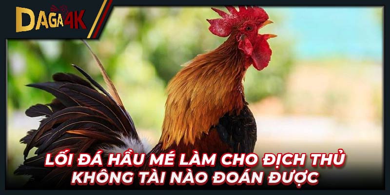 Lối đá hầu mé làm cho địch thủ không tài nào đoán được