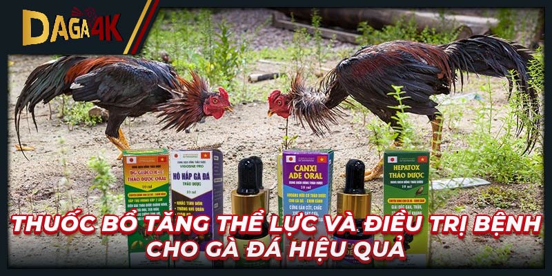 Thuốc bổ tăng thể lực và điều trị bệnh cho gà đá hiệu quả