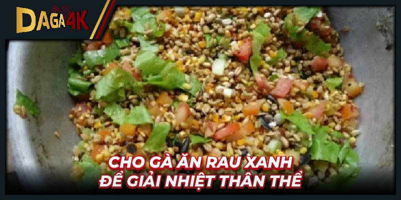 Cho gà ăn rau xanh để giải nhiệt thân thể