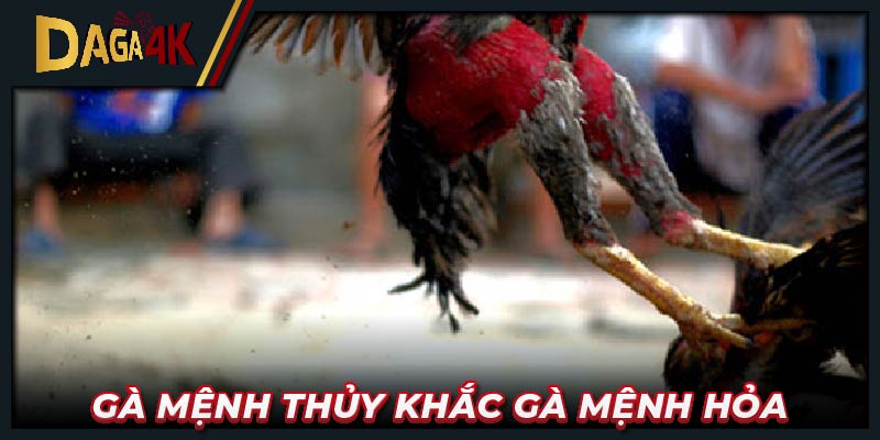 Gà mệnh Thủy khắc gà mệnh Hỏa