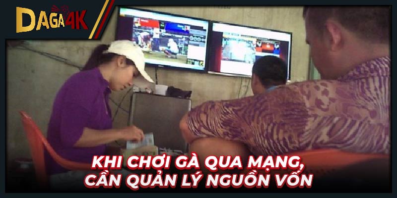 Khi chơi gà qua mạng, cần quản lý nguồn vốn